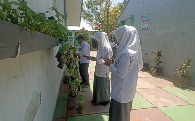Mengenal Potensi Lokal Lewat Alam, Murid Tata Boga MAN 1 Sinjai Gelar Observasi Tanaman Nabati